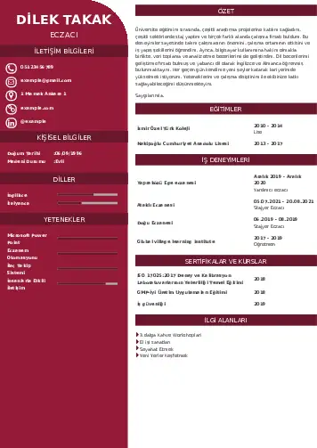 Eczacı CV Örnekleri cv indir